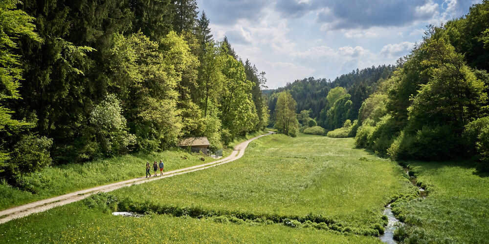 Outdoor Activities & Nature