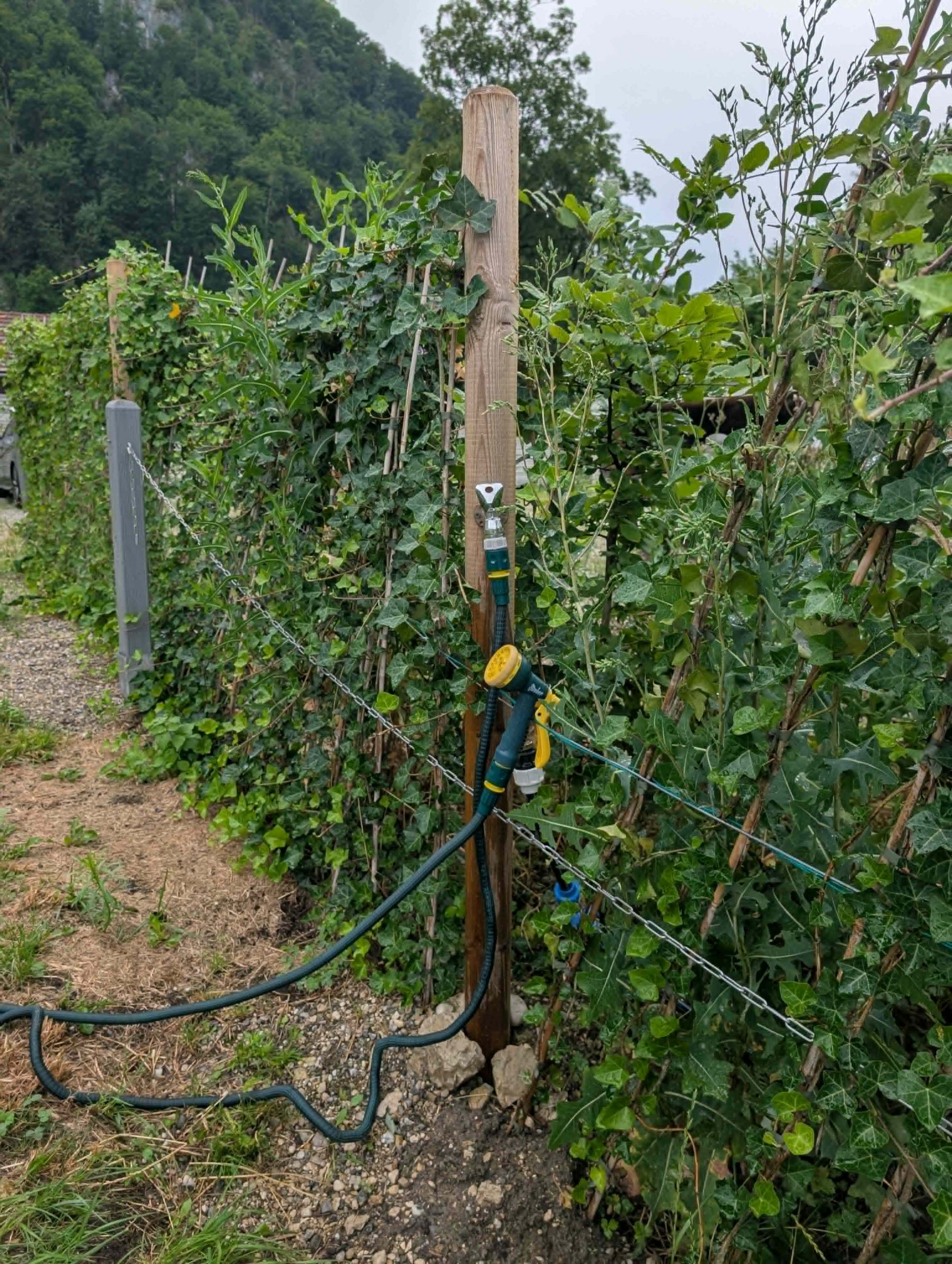 Garden hose with spray nozzle