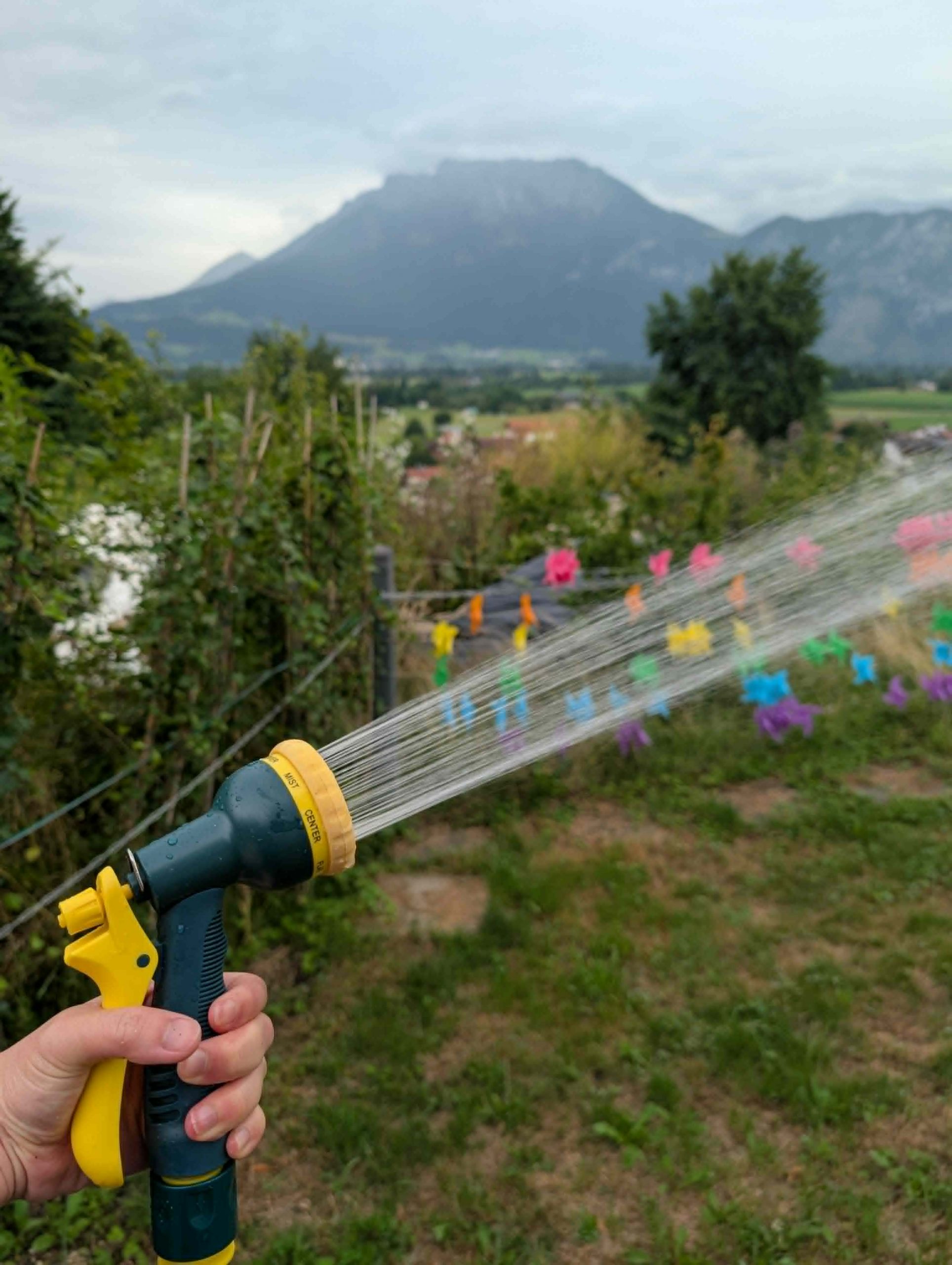 Watering the plants in the garden